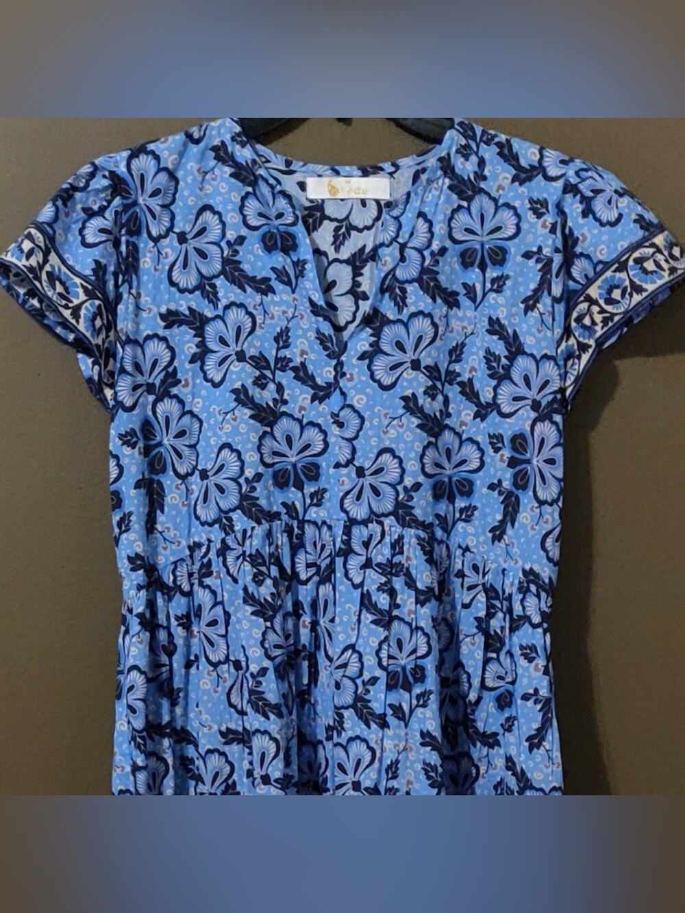 Bindu Blue Floral Maxi Dress